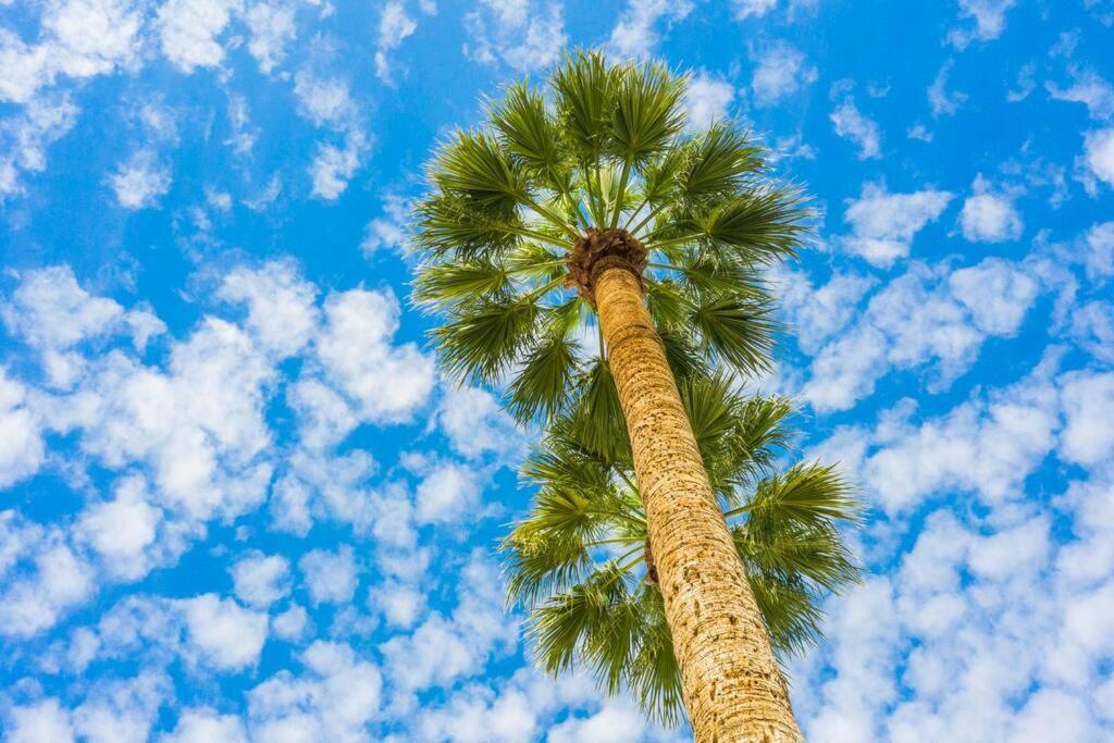 Large Studio Rooftop & Poolside - Walk To Old Town Scottsdale Bagian luar foto